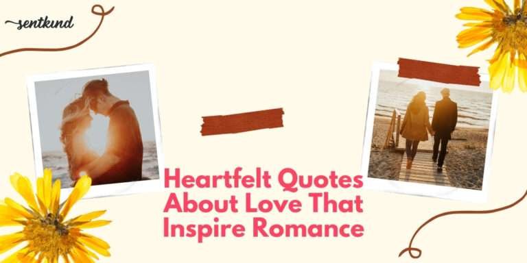 380+ Best Love Quotes to Express Your Feelings