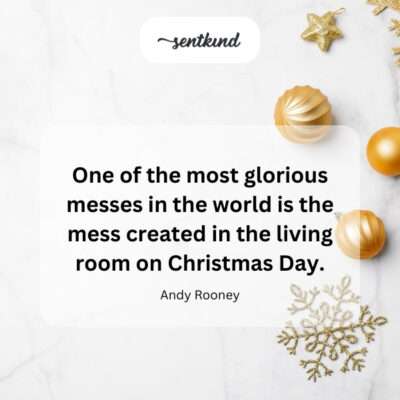 Glorious Christmas Day mess.