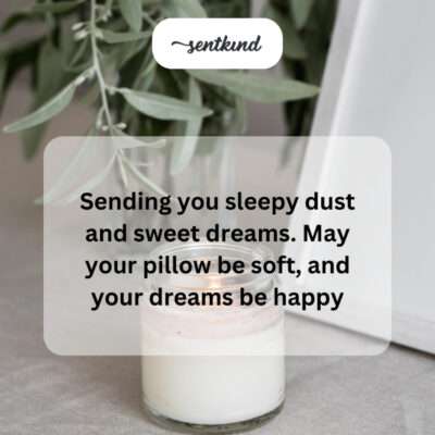Sweet dreams and bug-free snuggles!