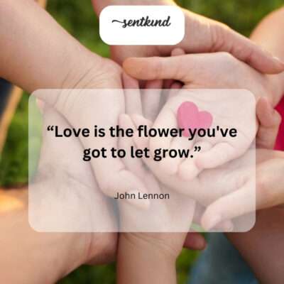 Nurture love like a flower, giving it time and space to bloom.
