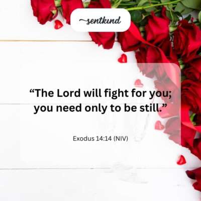 God fights for you, be still.