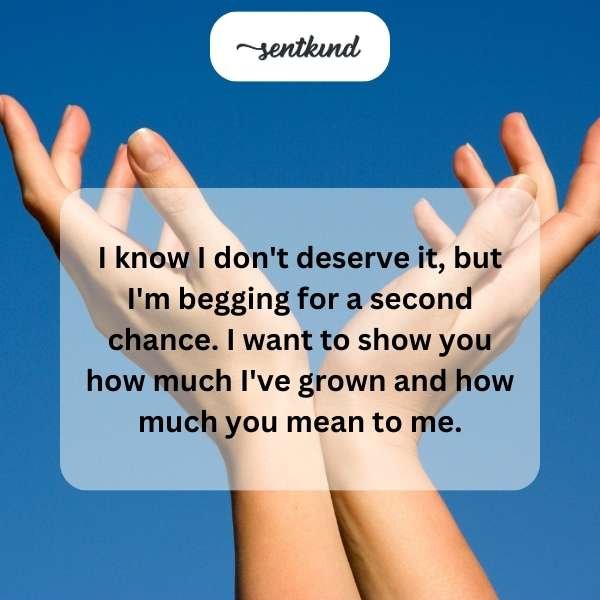 110+ Apology Quotes for Love to Heal and Reconcile