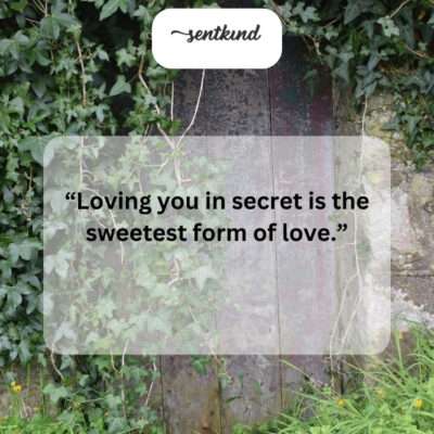 Secret love: a sweet burden to carry alone.