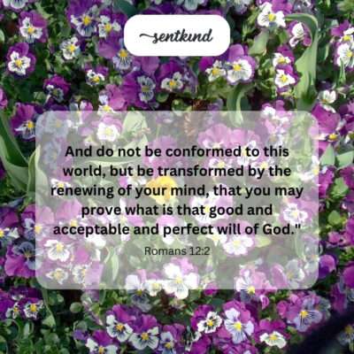 Be transformed by a renewed mind to discern God's perfect will.