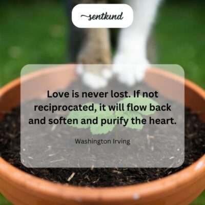Unreturned love's purifying power.