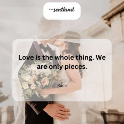 Love is the entirety; we are fragments.