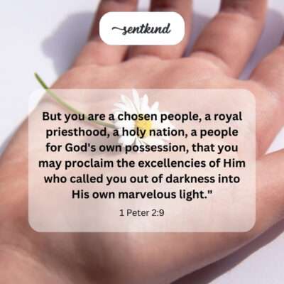 You are chosen, royal, holy, God's own, proclaiming His light.