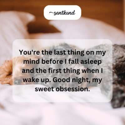 Insomnia buddies unite! Let's conquer this sleepless night together.