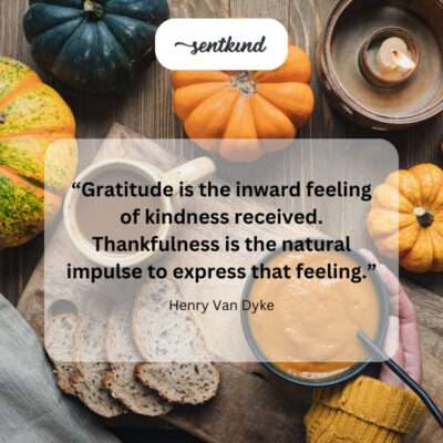 Feeling kindness, expressing thanks.