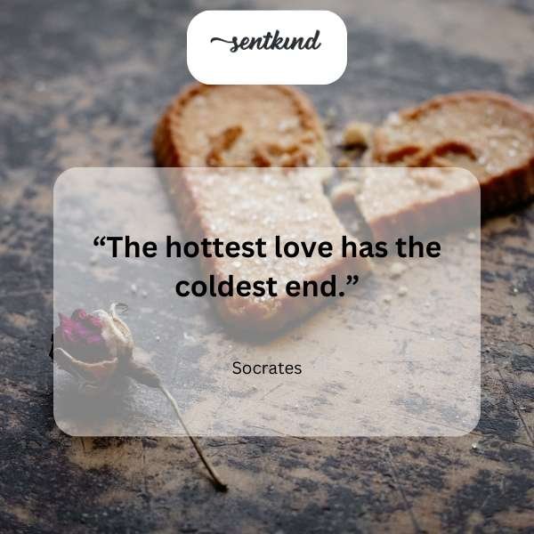 60+ Heartbreaking Love Lost Quotes to Heal Your Broken Heart