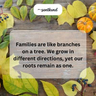 Different paths, same roots.