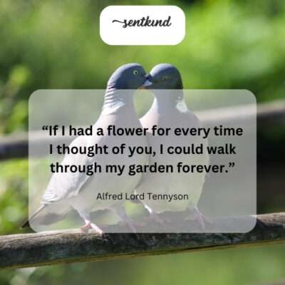 My garden of thoughts blooms eternally with you.
