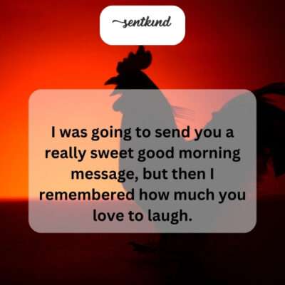 Instead of sweet, prepare for a laugh-inducing good morning message!