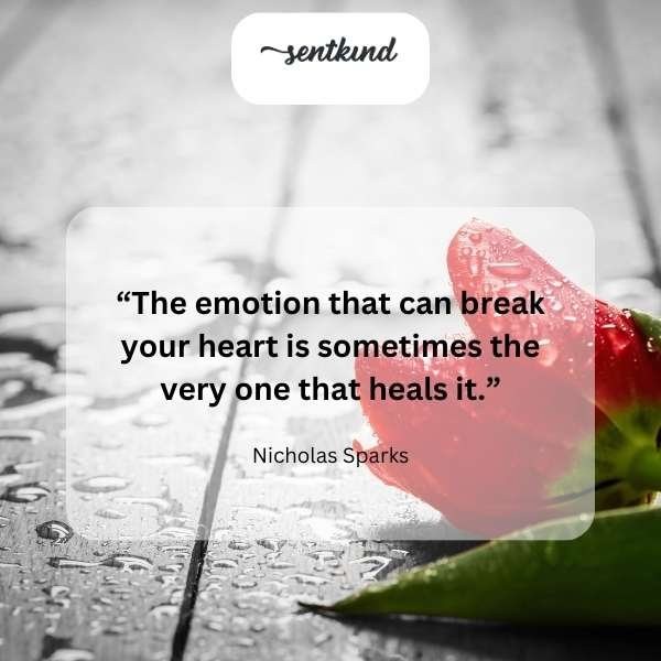 60+ Heartbreaking Love Lost Quotes to Heal Your Broken Heart