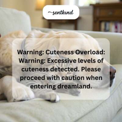 Brace yourselves, the sweetness might be overwhelming!