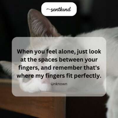Connection in the spaces.