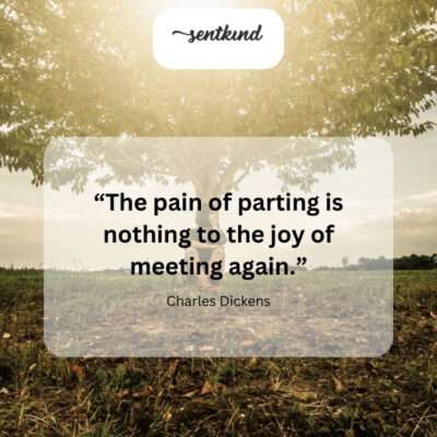 Though goodbyes sting, reunions fill us with unmatched happiness.