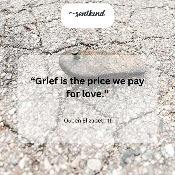 60+ Heartbreaking Love Lost Quotes to Heal Your Broken Heart