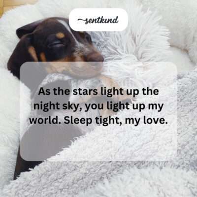 Sending virtual hugs and kisses your way for a cozy night.