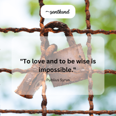 Love versus wisdom.