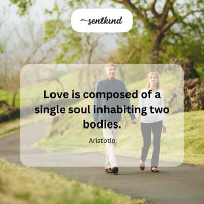 Two bodies, one shared soul in love.