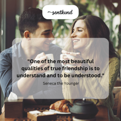 Friendship's beauty: understanding.