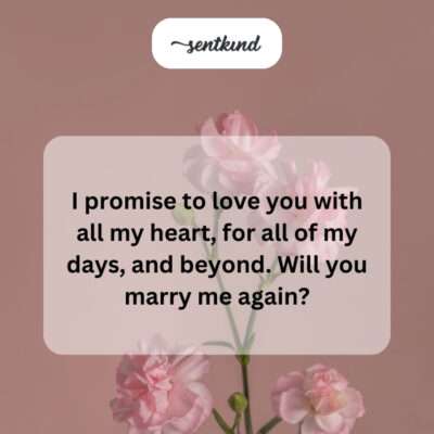 My heart, my days, forever. Marry me again.