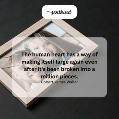 The heart's remarkable capacity for recovery and expansion.