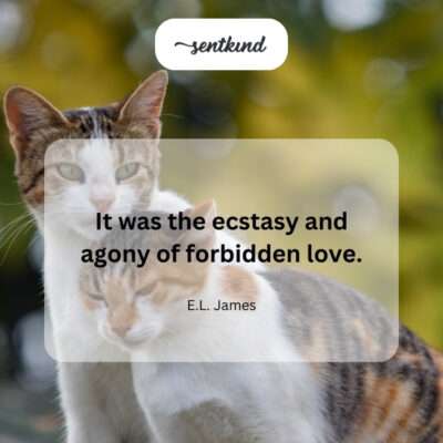 The dual nature of forbidden love: joy and suffering.