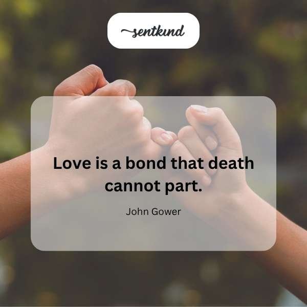 100+ Medieval Love Quotes: Romantic Words That Echo Through Time