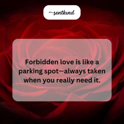 The elusiveness of forbidden love.