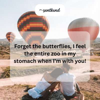 A whole zoo, not just butterflies, in the stomach.