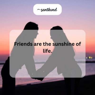 Friends bring joy.