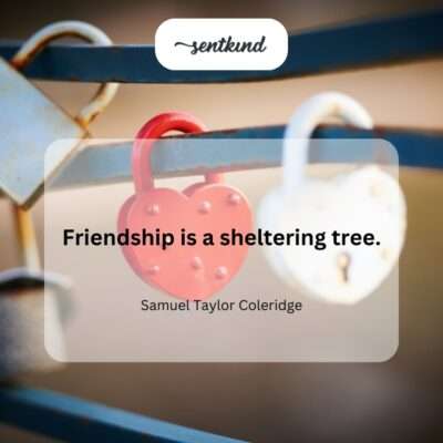 Two friends relax under the wide canopy of a mature tree, symbolizing protection and peace.
