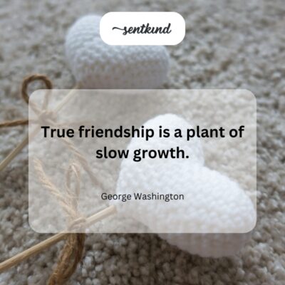 Two hands gently nurture a small, green seedling sprouting from the soil.