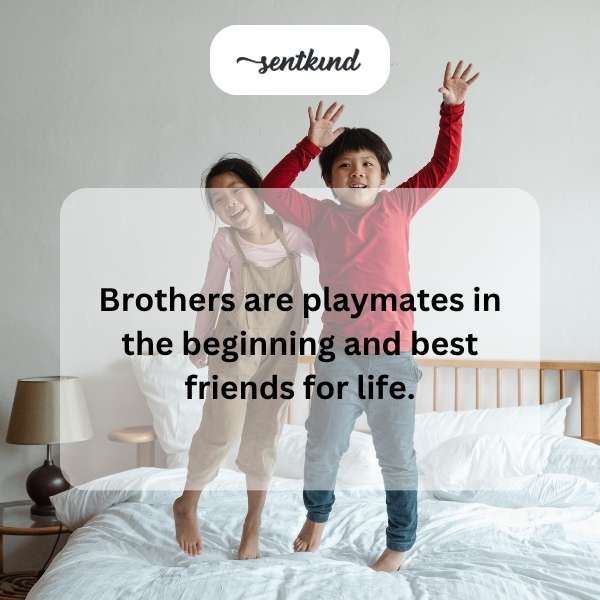 Two young brothers are playing together outside on a sunny day.