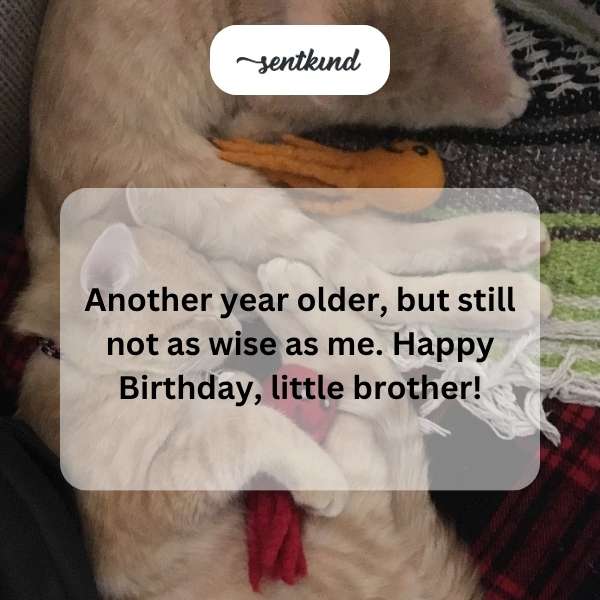 A birthday cake with candles is presented to a younger brother.