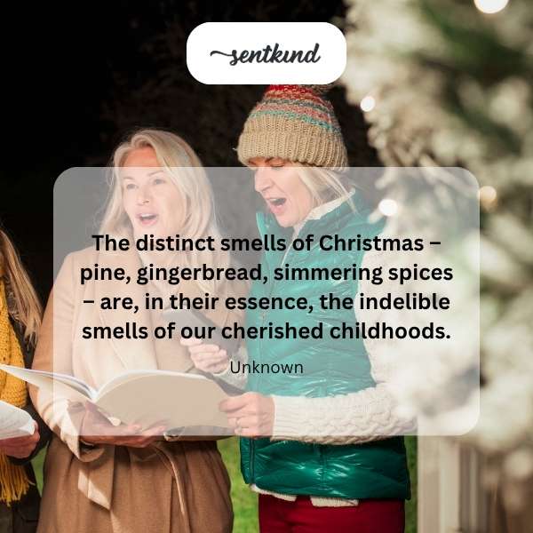 Aromas evoke nostalgic memories of Christmas, featuring pine branches, gingerbread, and spices.