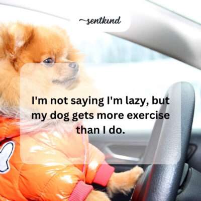 A person relaxing on a couch while a dog is active.