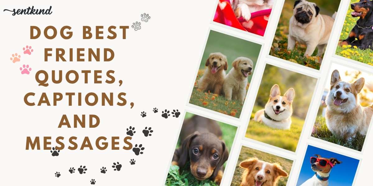 dog best friend quotes
