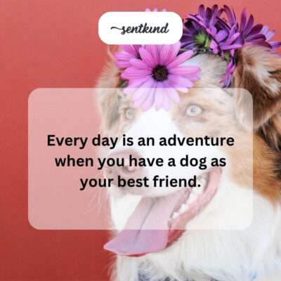 Dog and owner on an adventure.