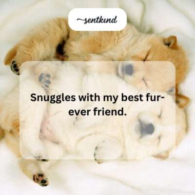 Person cuddling with a dog.