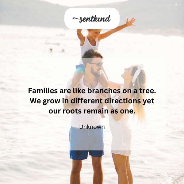 Family tree branches, one root.