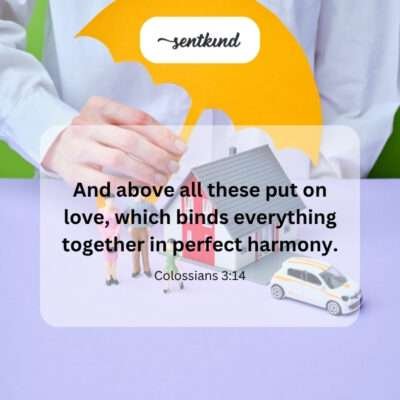 100+ Family Quotes and Short Sayings To Share Your Love