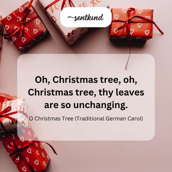 Unchanging Christmas tree.