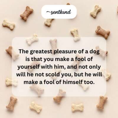 Person and dog playing playfully.