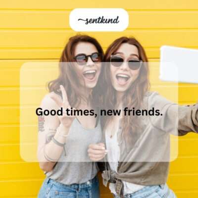 Friends clinking glasses, celebrating joyful moments and newfound companionship.