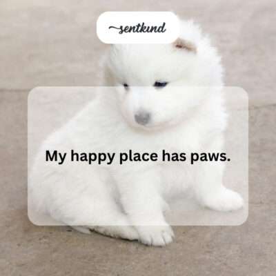 A person smiling while petting their dog.