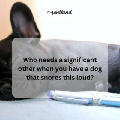 A dog sleeping soundly and snoring.