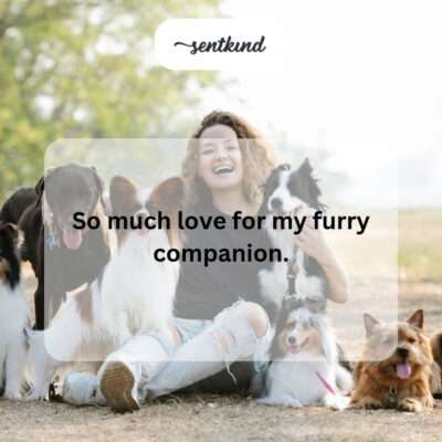 Person embracing their dog.